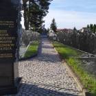 zdjęcie nr 10