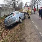 Fotka nr 1 z 2