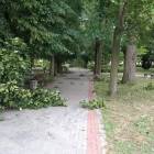 zdjęcie nr 15