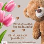 Fotka nr 1 z 2
