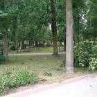 zdjęcie nr 13