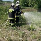 Fotka nr 3 z 12