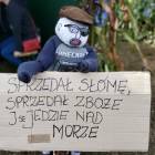 zdjęcie nr 30