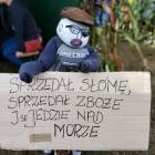 zdjęcie nr 44
