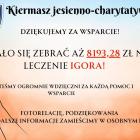Fotka nr 2 z 3