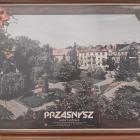 zdjęcie nr 15