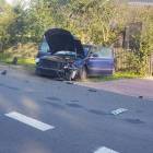 Fotka nr 1 z 2