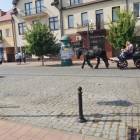 zdjęcie nr 14
