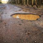 Drogą powiatowa Wyrąb Karwacki -Dobrzankowo