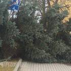 zdjęcie nr 7