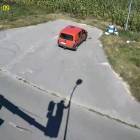 zdjęcie nr 7
