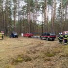 Fotka nr 5 z 8