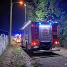 Fotka nr 4 z 11