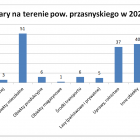 zdjęcie nr 11