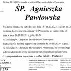 Fotka nr 1 z 2