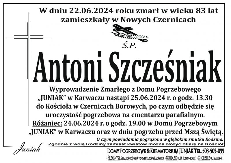 Antoni Szcześniak