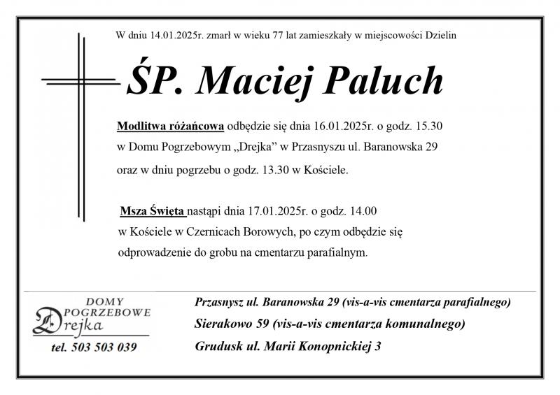 Maciej Paluch