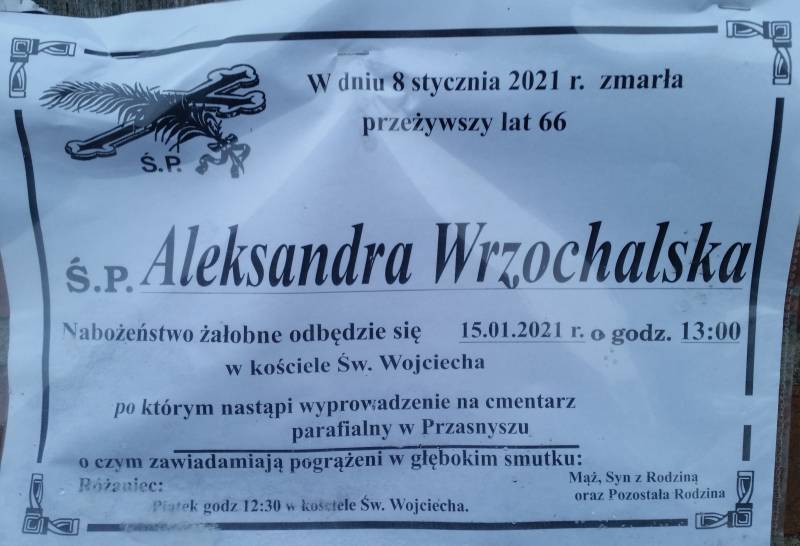 Aleksandra Wrzochalska