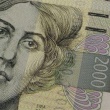 zdjęcie nr 