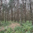 zdjęcie nr 