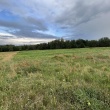 zdjęcie nr 