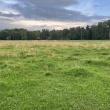 zdjęcie nr 