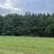 zdjęcie nr 