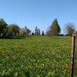 zdjęcie nr 