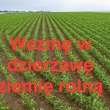 zdjęcie nr 