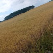 zdjęcie nr 