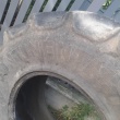 zdjęcie nr 