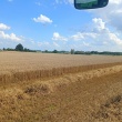 zdjęcie nr 