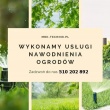 zdjęcie nr 