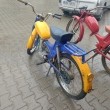 zdjęcie nr 