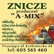 zdjęcie nr 