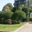zdjęcie nr 