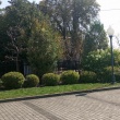 zdjęcie nr 