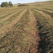zdjęcie nr 
