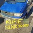 zdjęcie nr 