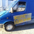zdjęcie nr 