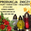 zdjęcie nr 