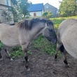 zdjęcie nr 