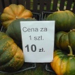 zdjęcie nr 