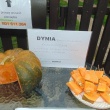 zdjęcie nr 