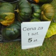 zdjęcie nr 