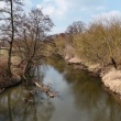 zdjęcie nr 