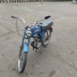zdjęcie nr 