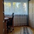 zdjęcie nr 
