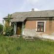 zdjęcie nr 