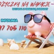zdjęcie nr 